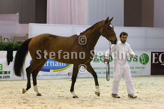 NADA BRAUN_MILANO_2010_SS3_3998.jpg